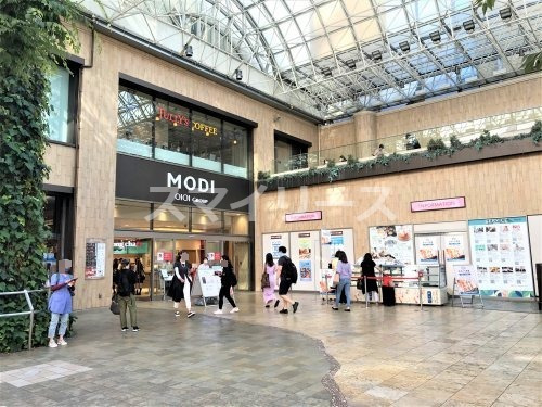 ショッピングセンター　柏MODI(モディ)（ショッピングセンター）まで569m