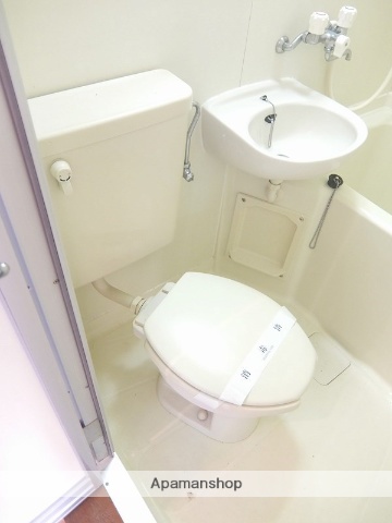 東急田園都市線 南町田グランベリーパーク駅 徒歩5分 2階建 築40年のトイレ写真