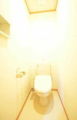 東急田園都市線 駒沢大学駅 徒歩10分 2階建 築12年のトイレ写真