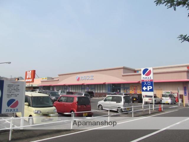 岩文ひるい_その他_5