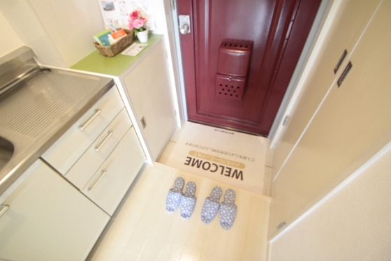 玄関　※別部屋の写真です