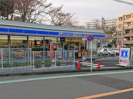 コンビニ　ローソン・スリーエフ横浜神大寺三丁目店（コンビニ）まで256m