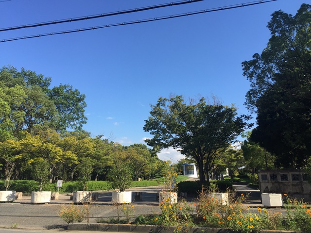 公園　中央公園（公園）まで1296m