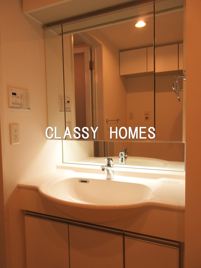 洗面設備　2006年竣工　プレミアステージ芝公園：洗面台