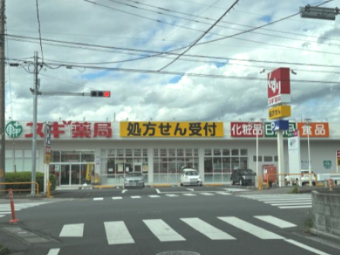 ドラックストア　スギ薬局 南元宿店（ドラッグストア）まで562m