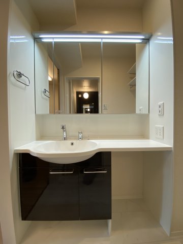 洗面設備　101の写真です。