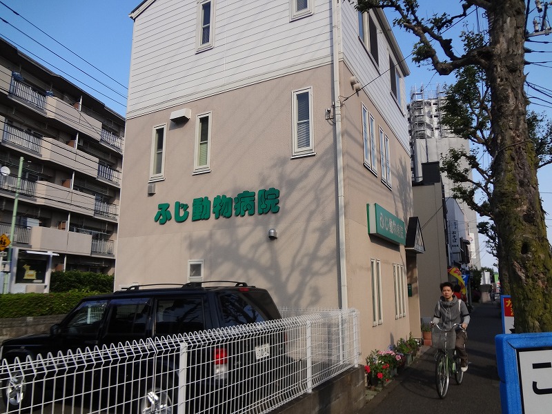 病院　ふじ動物病院（病院）まで300m