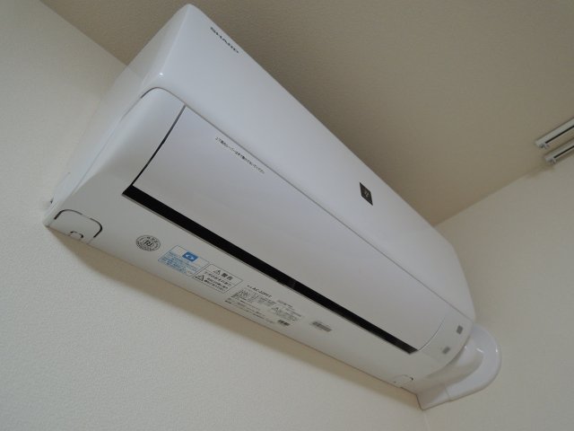 コントレイルのその他写真
