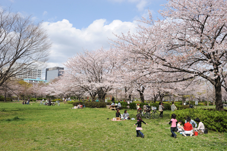 【江東区大島のマンションの公園】