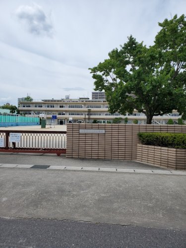 小学校　一宮市立三条小学校（小学校）まで1869m