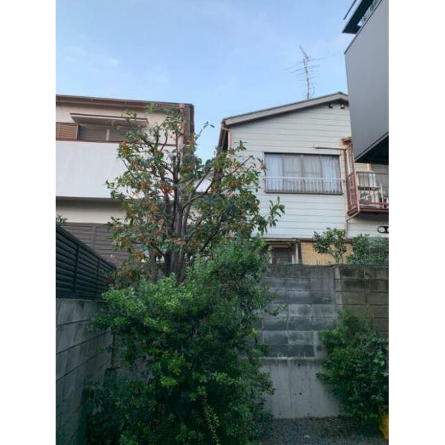その他共有部分　多様な植栽のある共有部