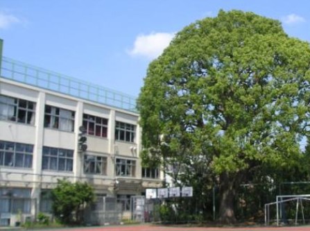 小学校　中延小学校（小学校）まで610m