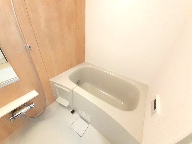 ＪＲ和歌山線 高野口駅 徒歩14分 2階建 築6年の風呂写真