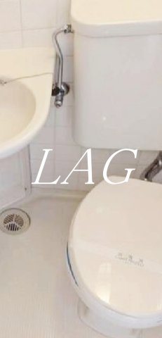 ヴェラハイツ大森のトイレ写真