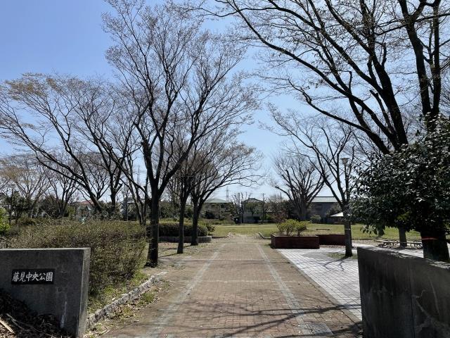 【パームヒルズの公園】