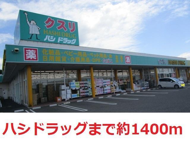 ドラックストア　ハシドラッグ（ドラッグストア）まで1400m