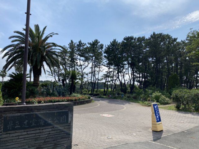 公園　辻堂海浜公園（公園）まで1655m