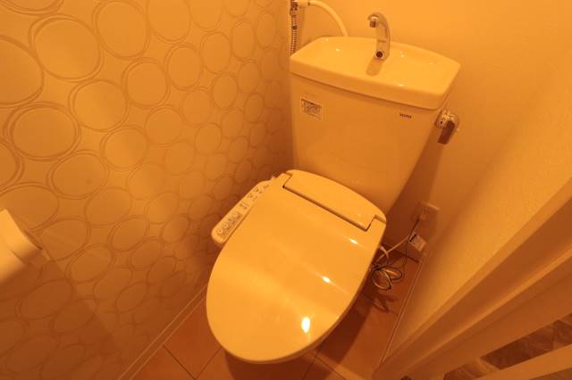 ソミューム八軒のトイレ写真