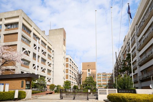 大学・短大　昭和医科大学 旗の台キャンパス（大学・短大）まで305m