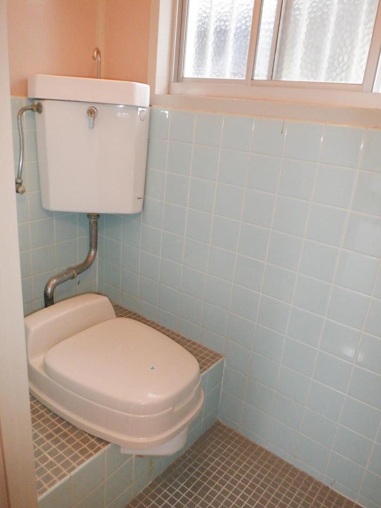 阪急今津線 小林駅 徒歩15分 2階建 築39年のトイレ写真