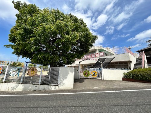 【知多市朝倉町のマンションの幼稚園・保育園】