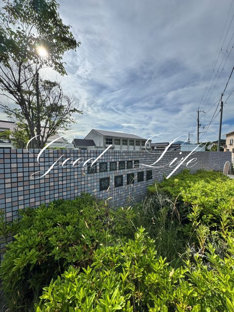 小学校　丹波篠山市立城東小学校（小学校）まで383m