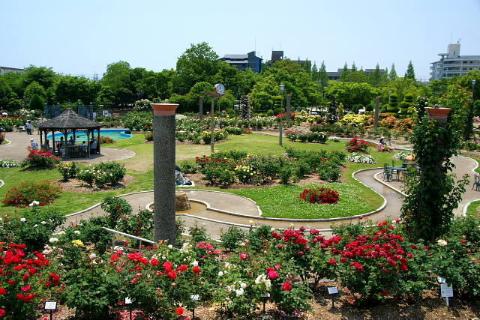 ミ　若園公園（その他　218m）