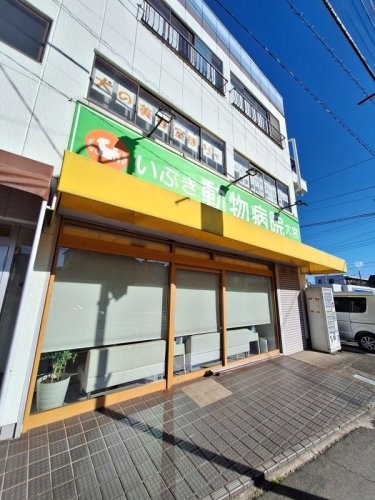 病院　いぶき動物病院大宮（病院）まで758m