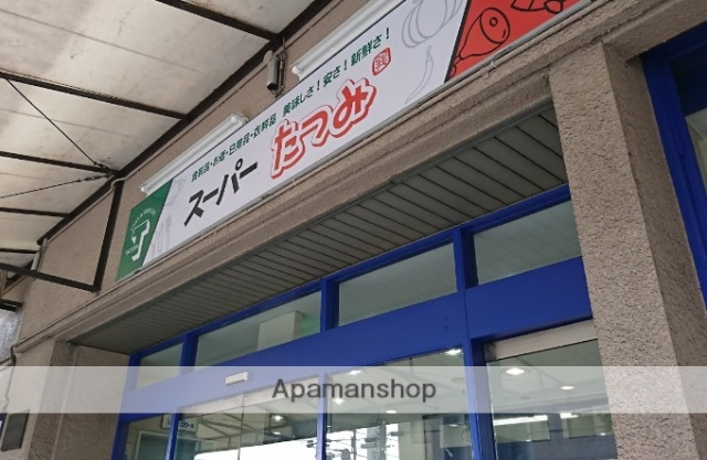 スーパー　スーパーたつみ（スーパー）まで246m