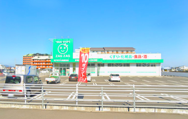ドラックストア　ザグザグ丸亀新田店（ドラッグストア）まで1317m