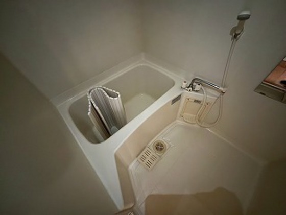 バス・シャワールーム　※別部屋の写真です