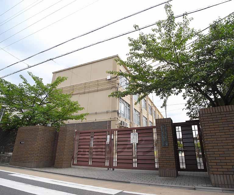 小学校　紫野小学校（小学校）まで164m