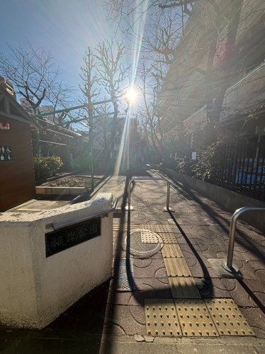 公園　台東区立根岸公園（公園）まで440m