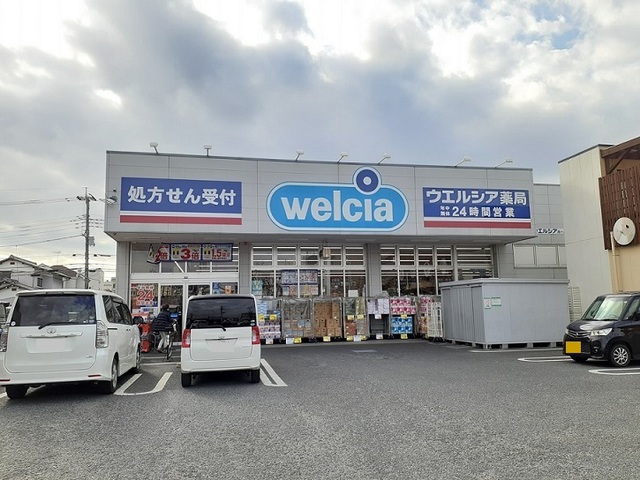 ドラックストア　ウエルシア　東川口店（ドラッグストア）まで1300m