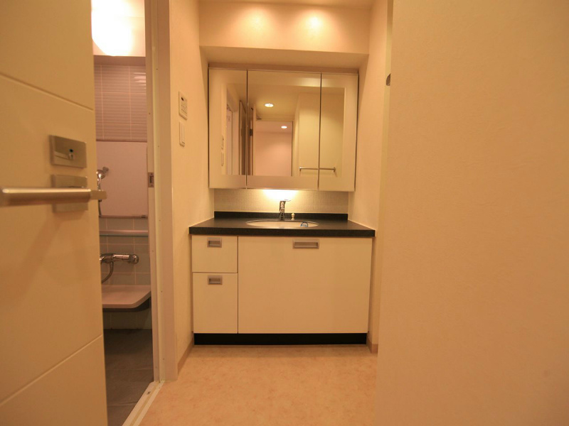 洗面設備　脱衣所　独立洗面台（シャンプードレッサー）