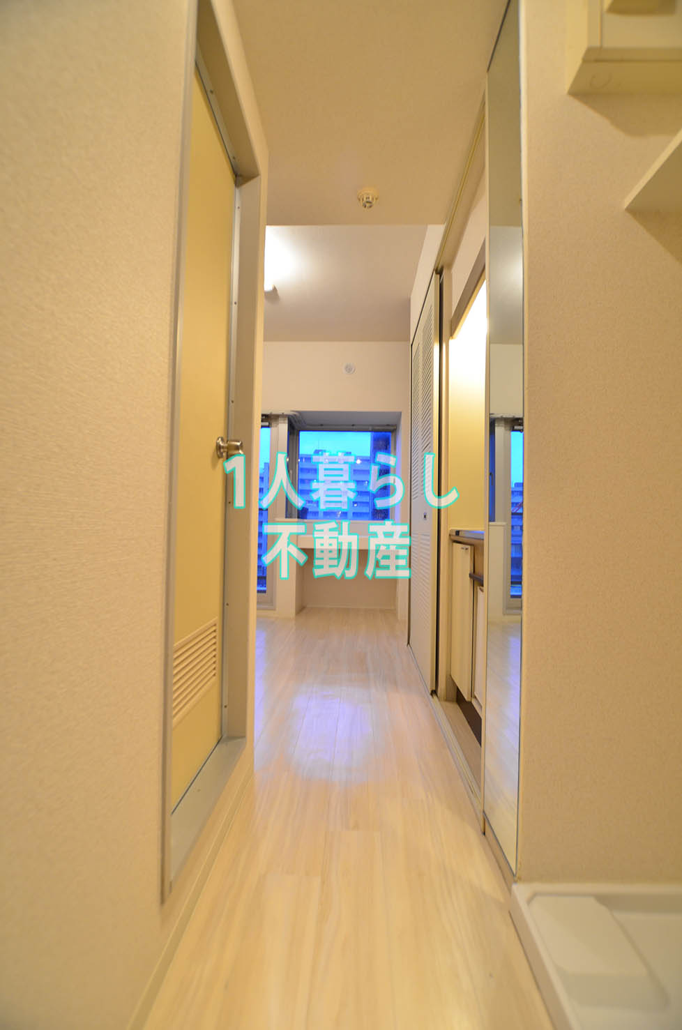 その他部屋・スペース　玄関から居室への眺望です