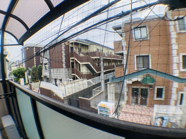 眺望