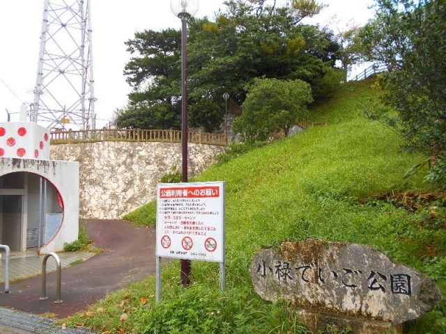 公園　小禄でいご公園（公園）まで713m