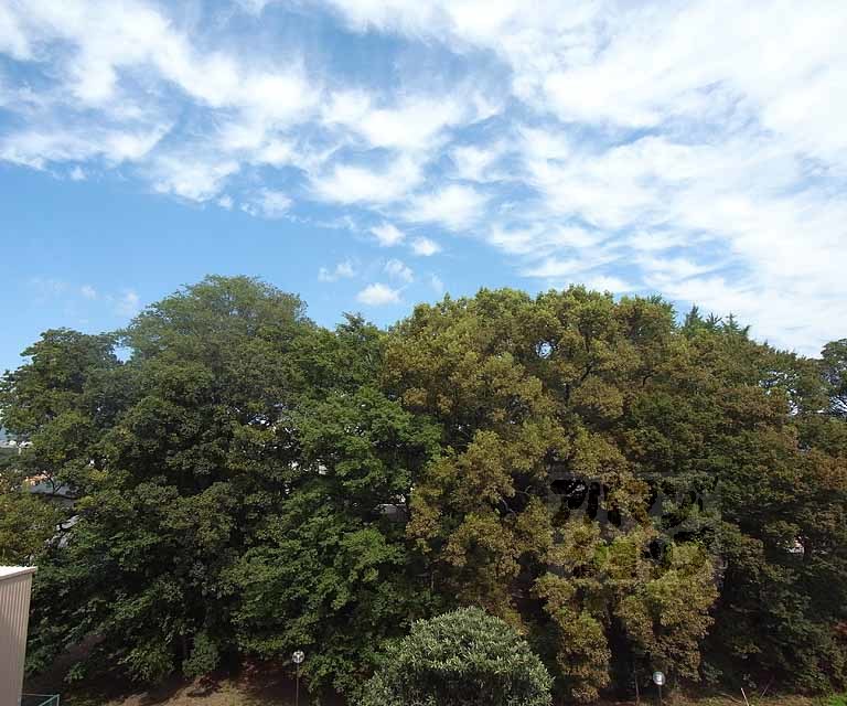 眺望　ベランダからの景色です。