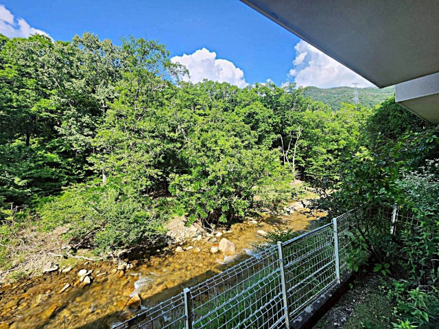眺望　１階和室のからの景色