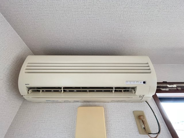 シエスタのその他写真