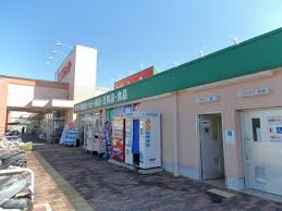 ドラックストア　キリン堂 萬崎菱木店（ドラッグストア）まで615m