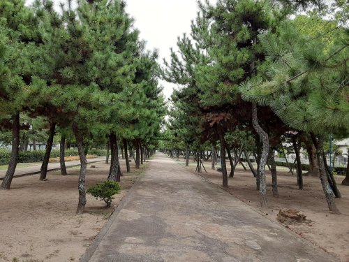 公園　高砂公園（公園）まで615m
