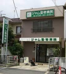 病院　ジャム動物病院（病院）まで598m