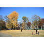 公園　朝霞の森（公園）まで588m