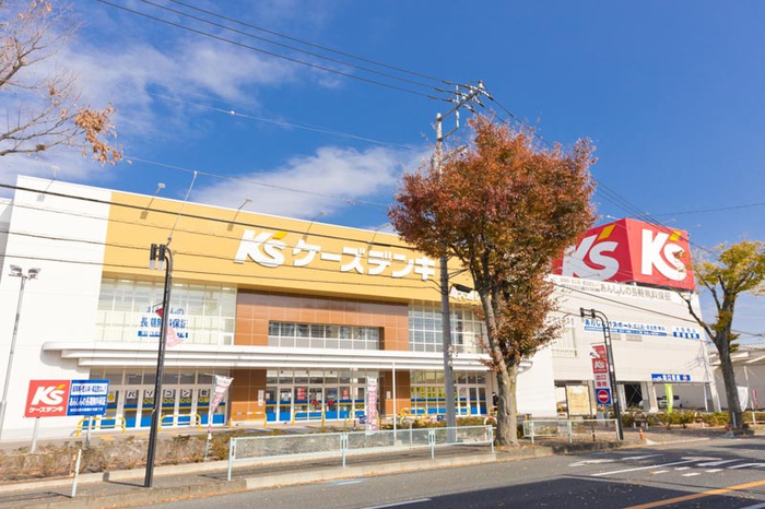 ホームセンター　ケーズデンキ埼大通り店（ホームセンター）まで850m