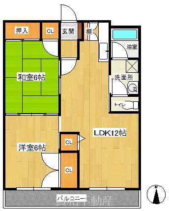 ステーションハイツの間取り