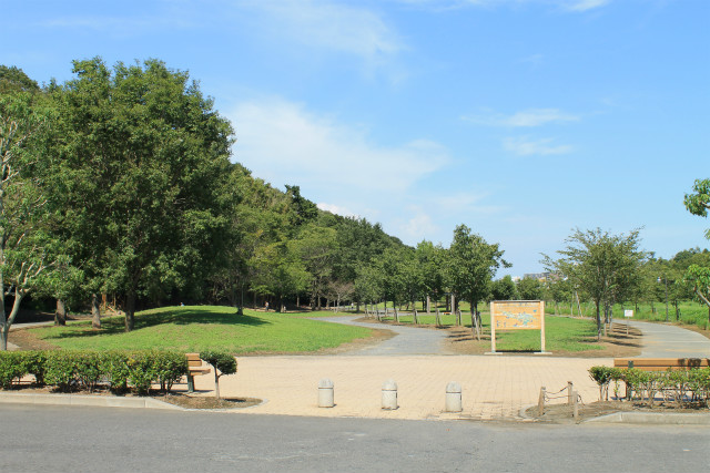 【水戸市千波町のマンションの公園】