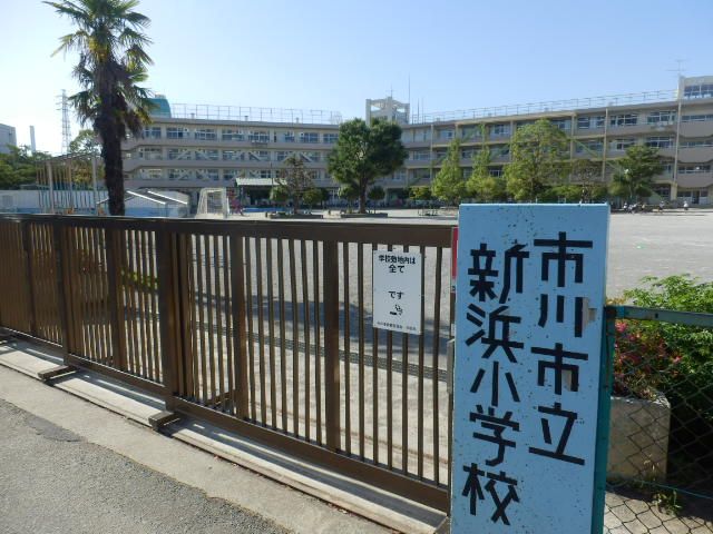 小学校　市川市立新浜小学校（小学校）まで1028m