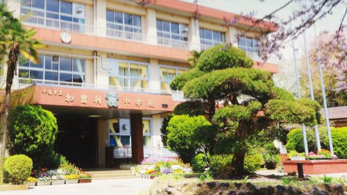 中学校　千葉市立加曽利中学校（中学校）まで440m
